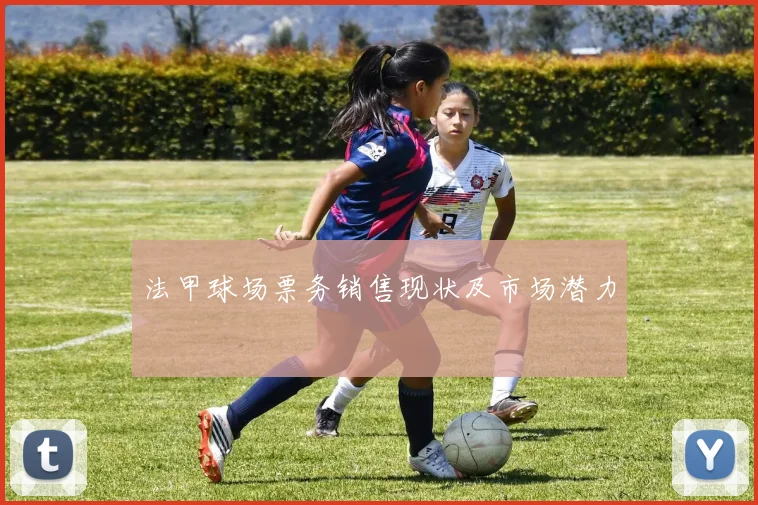 法甲球场票务销售现状及市场潜力