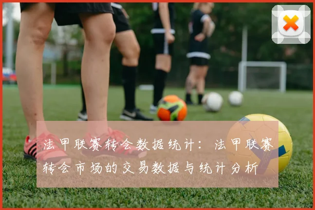 法甲联赛转会数据统计：法甲联赛转会市场的交易数据与统计分析