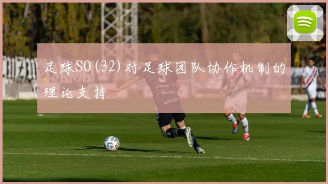 足球SO(32)对足球团队协作机制的理论支持