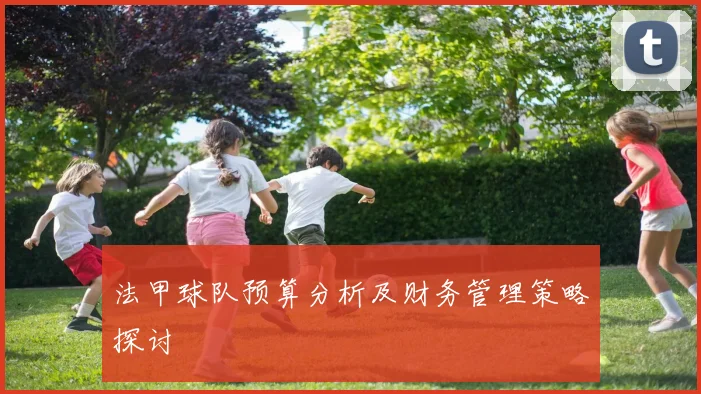 法甲球队预算分析及财务管理策略探讨