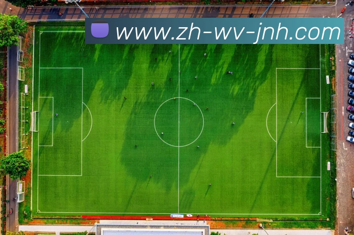 金年会体育平台生态图