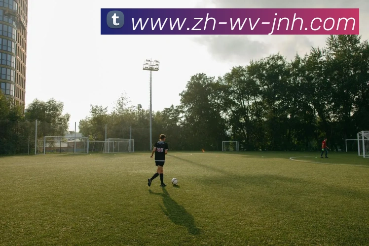 金年会体育APP 封面图